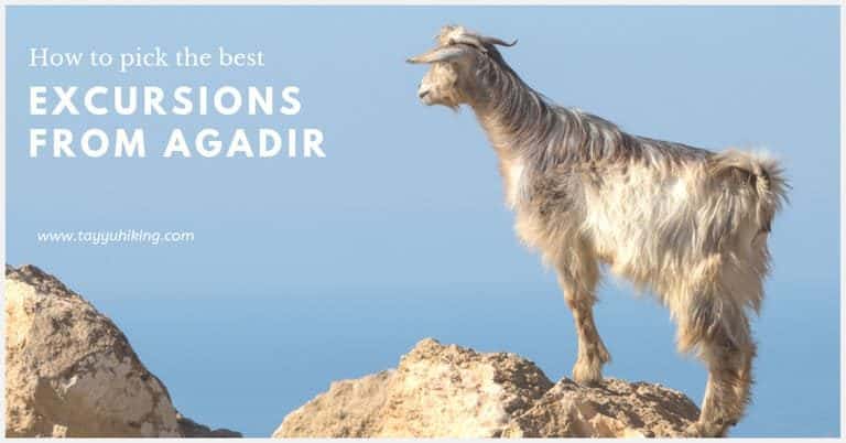 Excursions from Agadir
