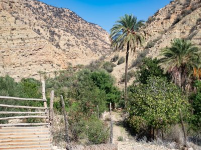 gardens in paradise valley near agadir