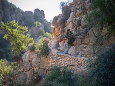 Berber trails in paradise valley aourir