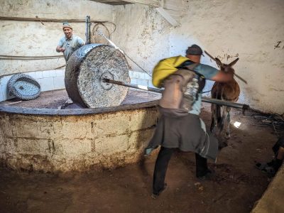 olive oil mill in paradise valley aourir