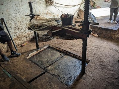 olive oil making in old windmill in paradise valley taghazout